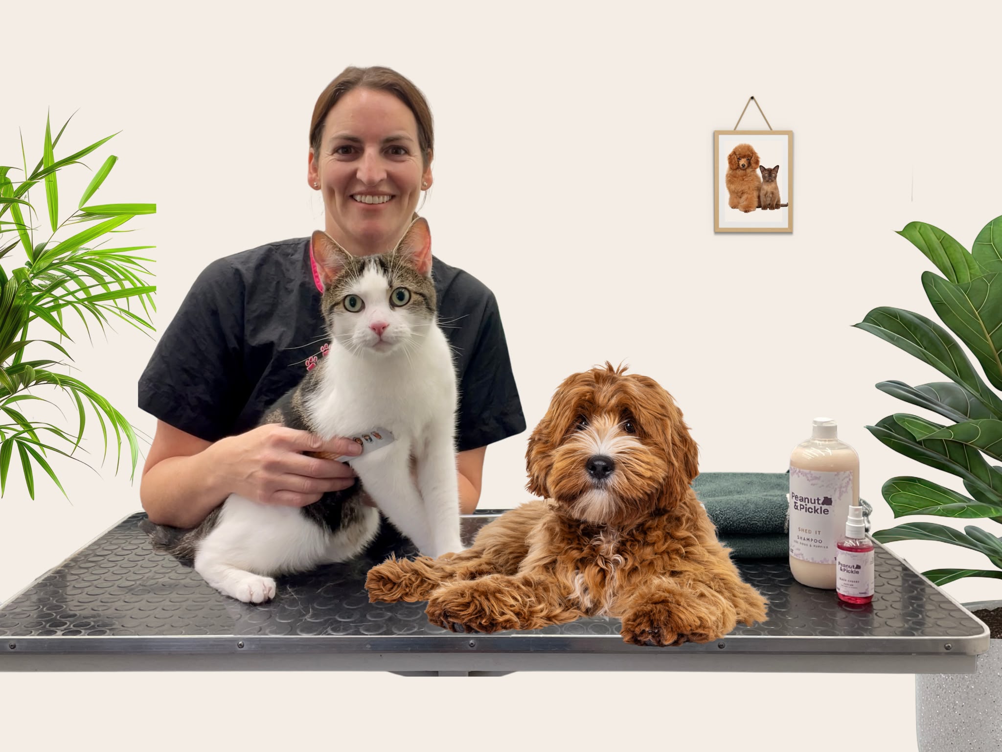 dog and cat groomer
