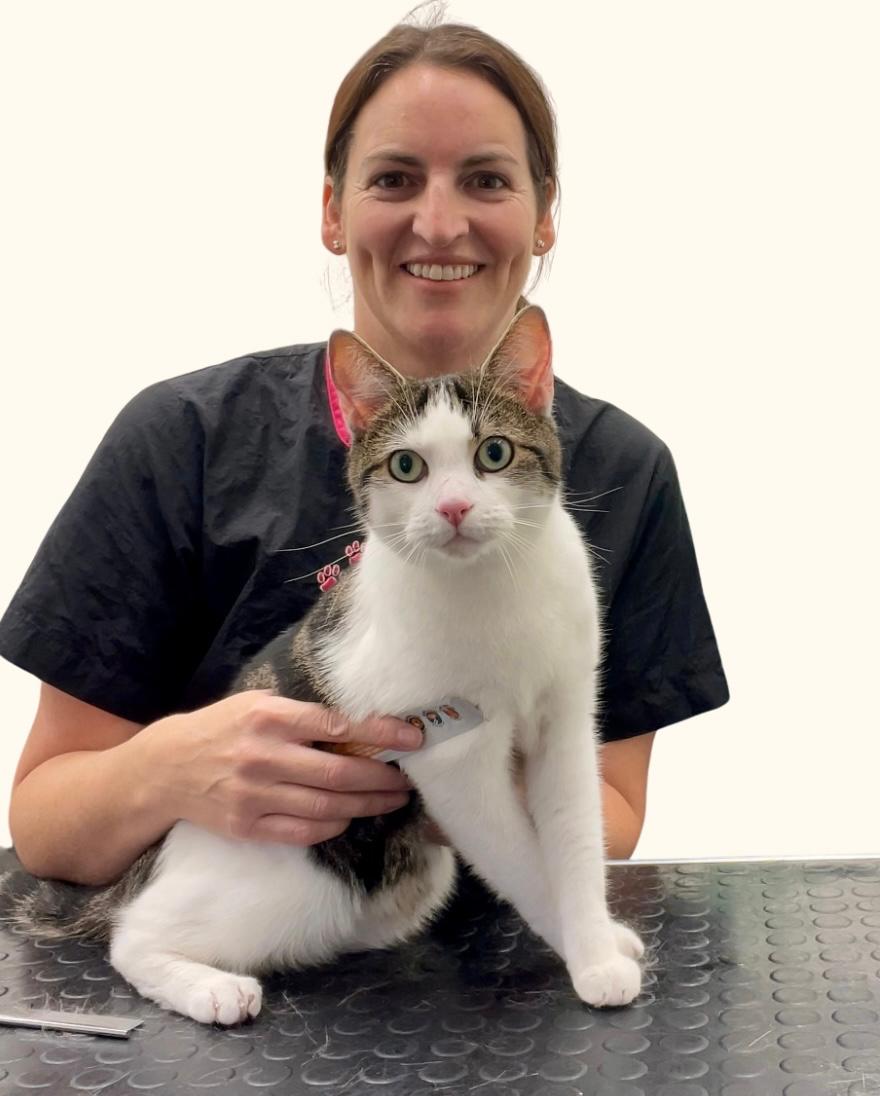 dog and cat groomer